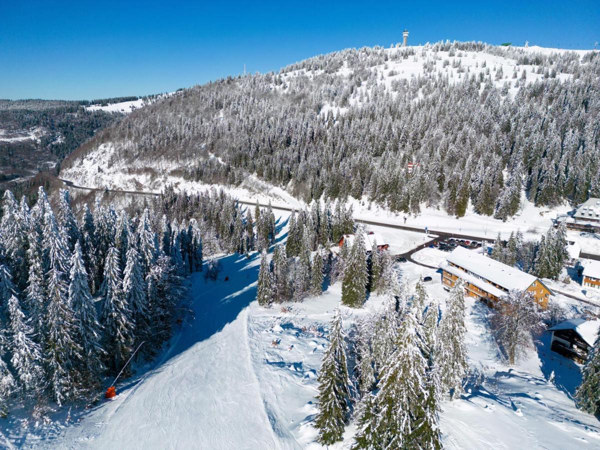 Wiesenquell Apartment Feldberg Feldberg  Dış mekan fotoğraf